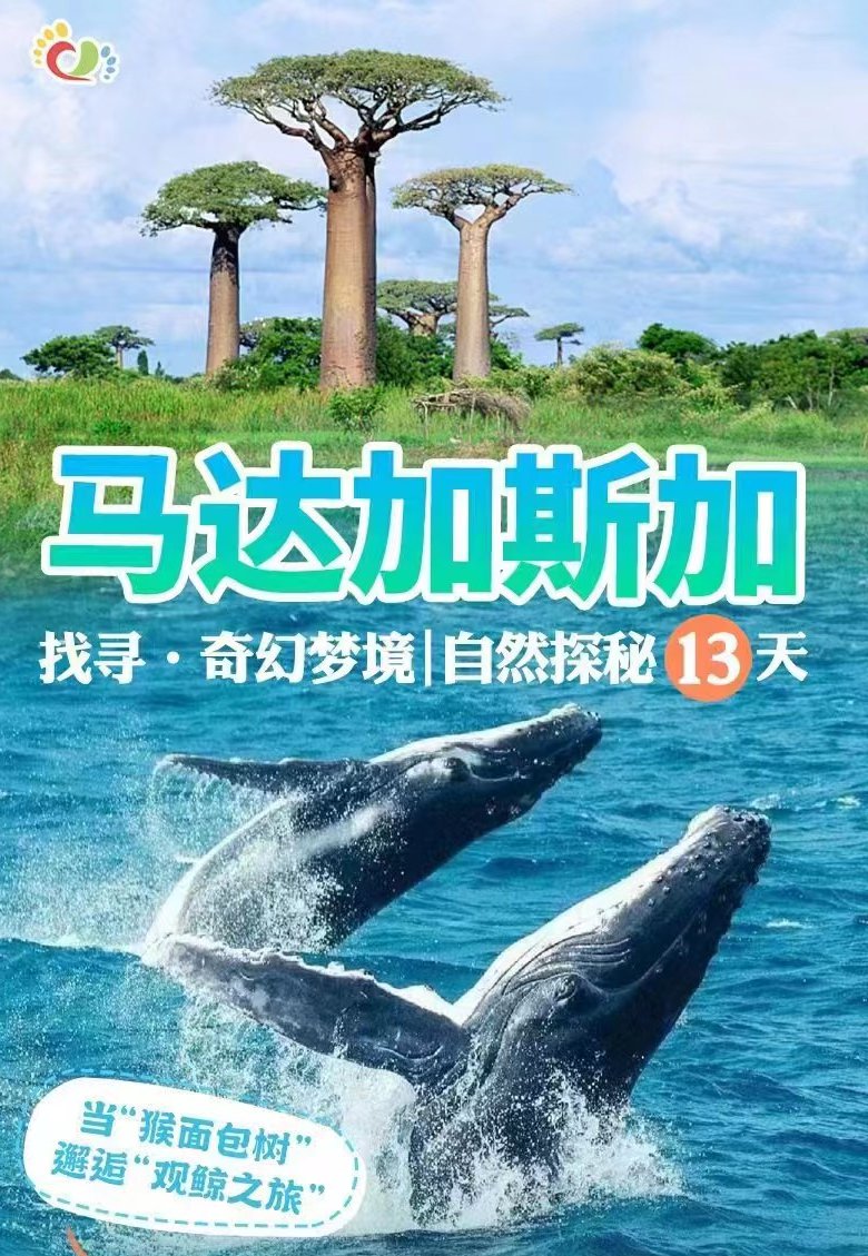 8c397cf4-8831-4853-8cec-7fb15c0981c4.jpg