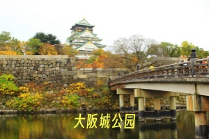大阪城公园11.jpg