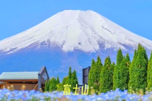 富士山11.webp.jpg