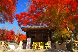 修缮寺.jpg