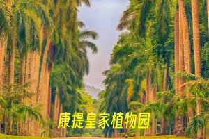 康提皇家植物园.jpg