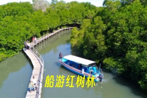 船游红树林.jpg