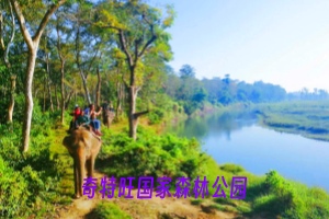 奇特旺国家森林公园.webp.jpg