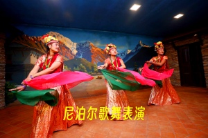 尼泊尔歌舞表演.jpg