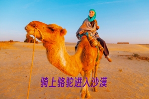 骑上骆驼进入沙漠.jpg