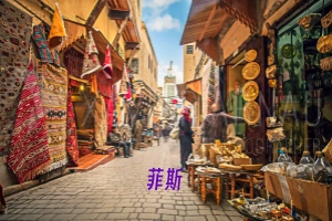菲斯.jpg