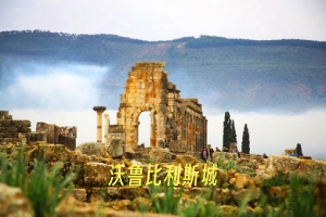 沃鲁比利斯城.jpg