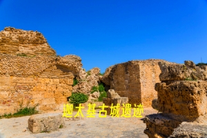 迦太基古城遗迹.jpg