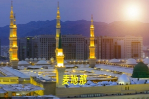 麦地那.jpg