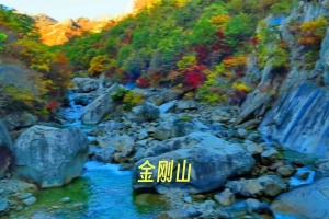 金刚山.webp.jpg